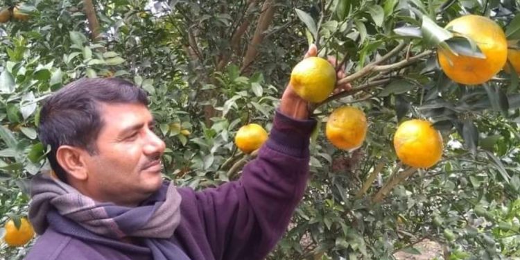 বঙ্গবন্ধু জাতীয় কৃষি পুরস্কার পেলেন মহেশপুরের রফিকুল