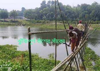 ঝিনাইদহে স্বেচ্ছাশ্রমে বাঁশের সাঁকো, দাবি স্থায়ী ব্রীজের