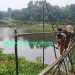 ঝিনাইদহে স্বেচ্ছাশ্রমে বাঁশের সাঁকো, দাবি স্থায়ী ব্রীজের