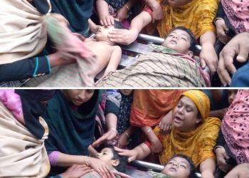 ঝিনাইদহে পানিতে ডুবে প্রাণ গেল দুই সহোদরের