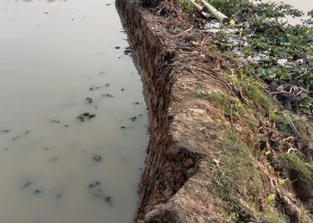 মির্জাপুরে পায়ে হাঁটার রাস্তা নিয়ে পাল্টাপাল্টি অভিযোগ।