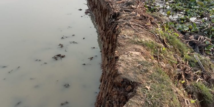 মির্জাপুরে পায়ে হাঁটার রাস্তা নিয়ে পাল্টাপাল্টি অভিযোগ।