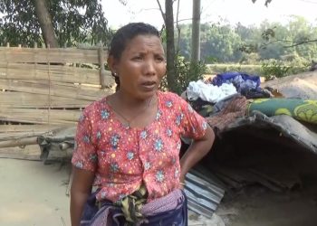 নেত্রকোণায় বন্যহাতির আক্রমন