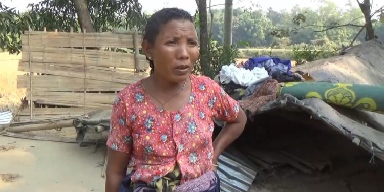 নেত্রকোণায় বন্যহাতির আক্রমন