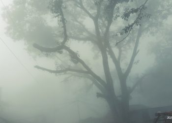 নওগাঁয় দেশের সর্বনিম্ন তাপমাত্রা ৮.৪ ডিগ্রি