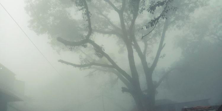 নওগাঁয় দেশের সর্বনিম্ন তাপমাত্রা ৮.৪ ডিগ্রি