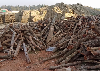 বাঁশখালীর ইট ভাটা গুলোতে পুড়ছে বনের কাঠ 