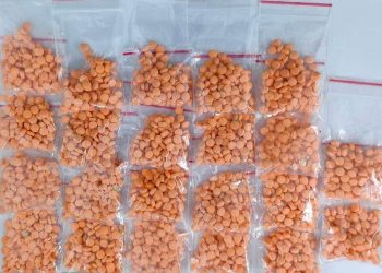 ভাঙ্গায় ২২০০ পিচ ইয়াবাসহ মাদক ব্যবসায়ী গ্রেফতার