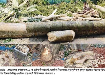 বাগেরহাটের সেই প্রধান শিক্ষক হান্নান হাওলাদারের বিরুদ্ধে বিভাগীয় মামলা রুজু