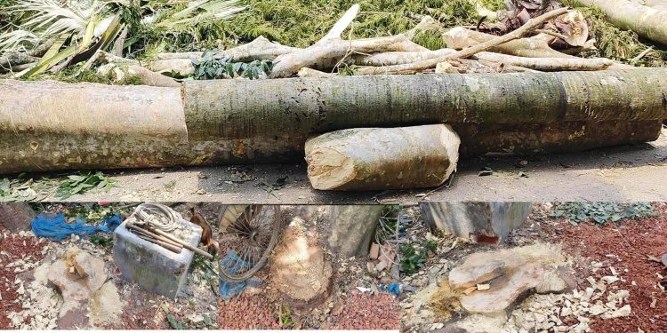 বাগেরহাটের সেই প্রধান শিক্ষক হান্নান হাওলাদারের বিরুদ্ধে বিভাগীয় মামলা রুজু