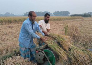 ভোলায় আমনের বাম্পার ফলন, কৃষকের মুখে হাসি