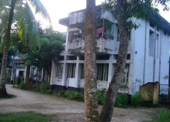 ভোলায় গবাদিপশুর চিকিৎসক সংকট