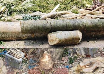 প্রধান শিক্ষকের হাতে নোটিশ!