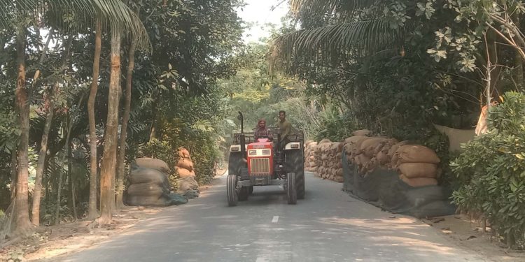 জনগুরুত্বপূর্ন সড়কগুলো ধান ব্যবসায়ীদের দখলে;পটুয়াখালীতে ভোগান্তিতে যানচলাচলসহ পথচারী