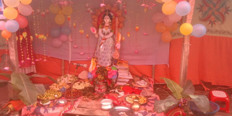 পটুয়াখালীতে সরস্বতী পূঁজা উদযাপিত