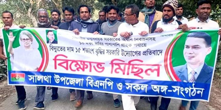 ফরিদপুরের সালথায় বিএনপির বিক্ষোভ মিছিল অনুষ্ঠিত