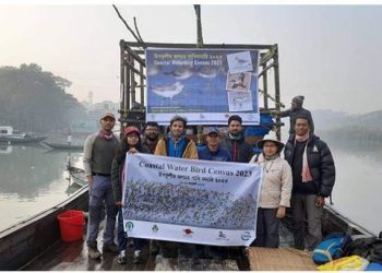 ভোলাসহ উপকূলীয় ৫ জেলায় জলচর পাখি শুমারি শুরু
