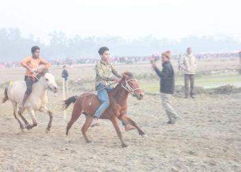 পলাশবাড়ীতে ঐহিত্যবাহী ঘোড়দৌড় প্রতিযোগিতা অনুষ্ঠিত