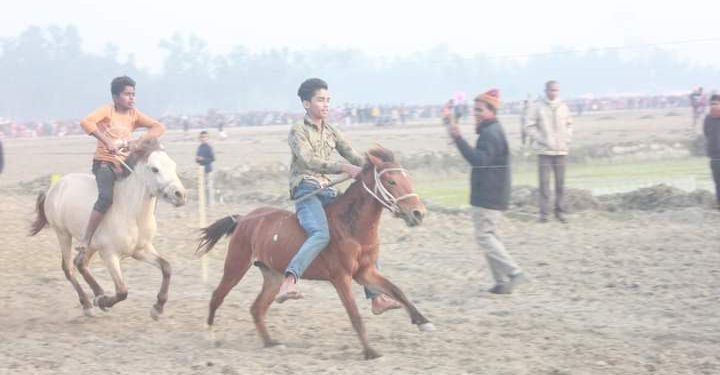 পলাশবাড়ীতে ঐহিত্যবাহী ঘোড়দৌড় প্রতিযোগিতা অনুষ্ঠিত