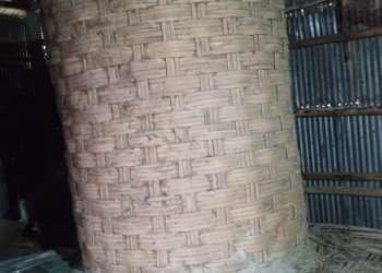 স্বাধীনতার ৫০ বছরে ও ভাগ্যের পরিবর্তন হয়নি মঙ্গাপিড়ীত রংপুরের গঙ্গাচড়া উপজেলাবাসীর