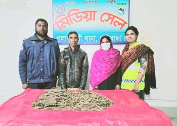 পলাশবাড়ীতে গাঁজা সহ স্বামী-স্ত্রী গ্রেফতার