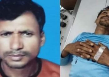 বাঁশখালীতে সড়কে কেড়ে নিল আজগরের প্রাণ