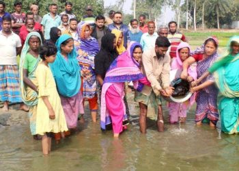 গাবতলীর সুখান পুকুরের কাজলা বিলে পোনা মাছ অবমুক্ত