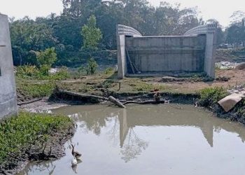 জমি জটিলতায়ব্রিজের সংযোগ সড়কের কাজ বন্ধ