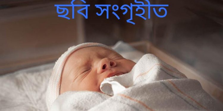 ঝিনাইদহে সেফটিক ট্যাংক থেকে এক নবজাতকের লাশ উদ্ধার