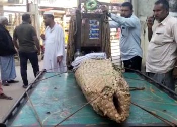 ভাঙ্গায়  অটোরিক্সা  চোর সন্দেহে এক জনকে পিটিয়ে হত্যা