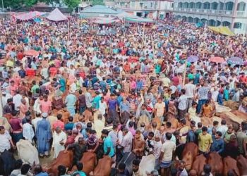 বদলগাছীতে প্রায় ৩৪ লাখ টাকা কমে কোলাহাট ইজারা