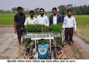 সমালয় পদ্ধতিতে বোরো ধান রোপন