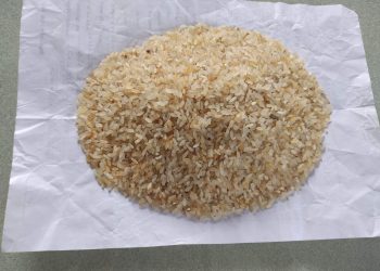 ঘোড়াঘাটে খাওয়ার অনুপযোগী হওয়ায় ভিজিডির চাল ফেরত দিলেন ইউপি চেয়ারম্যান