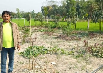 ফলজ ও বনজ গাছের সাথে এ কোন ধরনের শত্রুতা