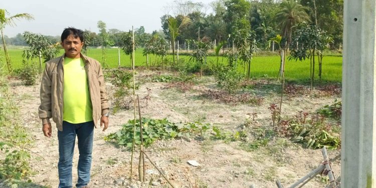 ফলজ ও বনজ গাছের সাথে এ কোন ধরনের শত্রুতা