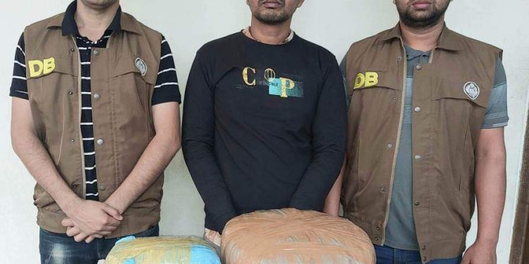 গাঁজা সহ একজনকে আটক করেছে নরসিংদী ডিবি পুলিশ