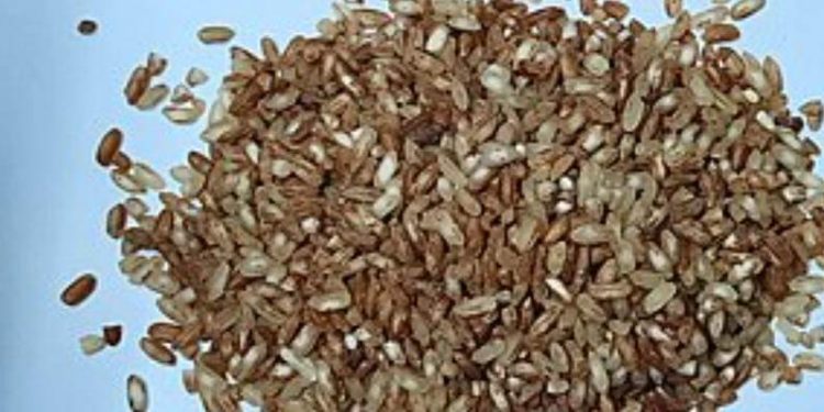 চৌদ্দগ্রামে সংগ্রহ হয়নি এক কেজি ধান