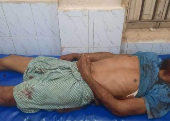 নাটোরে ভাইয়ের গাছে চুরি করতে গিয়ে ভাইয়ের মৃত্যু