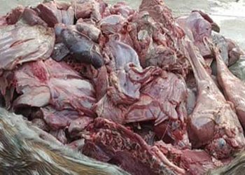 সুন্দরবন থেকে ২০ কেজি হরিণের মাংস উদ্ধার করলেও আটক হয়নি কেউ