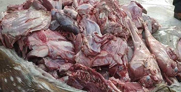 সুন্দরবন থেকে ২০ কেজি হরিণের মাংস উদ্ধার করলেও আটক হয়নি কেউ