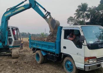 চৌদ্দগ্রামে দিবা-রাত্রি মাটি কেটে বনভূমি উজাড় করে দিচ্ছে অনেকগুলো চক্র