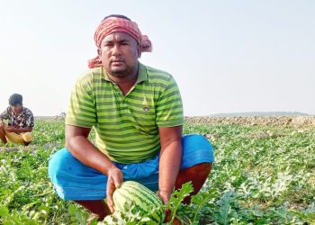 চর কাঞ্চনপুরে তরমুজে স্বপ্ন বুনছেন রিয়াজ