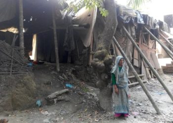 স্বাধীনতার মাসে একটি ঘরের আকুতি শহীদ মুক্তিযোদ্ধার স্ত্রী রেনু বিবির..