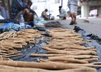 রোজা রেখে মেসওয়াক করার উপকারিতা