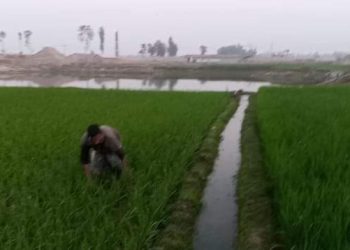 অনিয়ম দুর্নীতি – পর্ব ০১