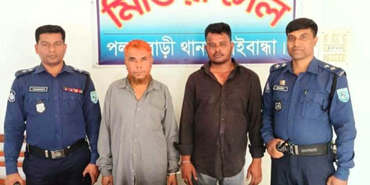 পলাশবাড়ীতে মাদক কারবারি আটক