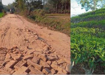 বেহাল দশায় পরিণত বাঁশখালীর চা-বাগান সংযোগ সড়ক দেখার নেই কেউ