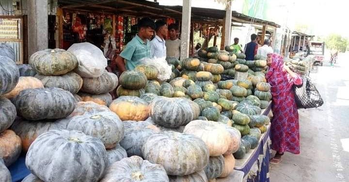 গঙ্গাচড়ায় তিস্তাসেতু’র পার্শ্বে গড়ে উঠেছে কুমড়ার বাজার, লাভবান হচ্ছেন কুমড়া ব্যবসায়ী ও চাষীরা
