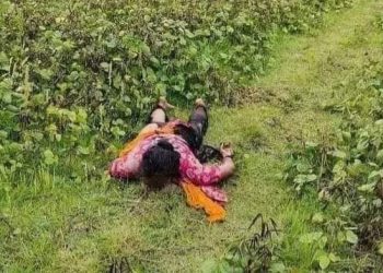 একদিনের বজ্রপাতে কৃষকের ৪টি গরু সহ এক নারী নিহত