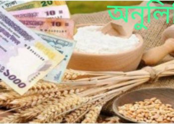 পটুয়াখালীতে সদকাতুল ফিতরা ১১৫ টাকা নির্ধারন